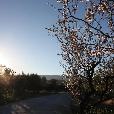 Casa Azahar Holiday home Saleres