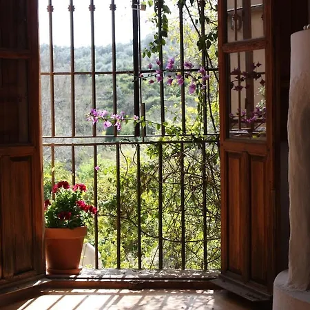 Casa Azahar Saleres